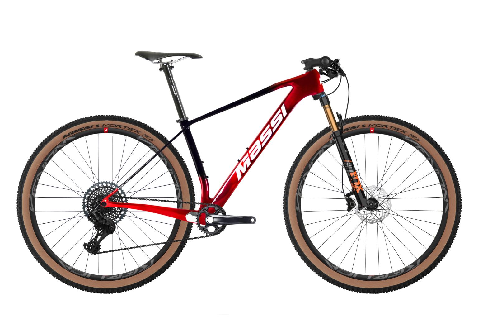 BICI MASSI PRO SL 29" ENDURANCE 1X12